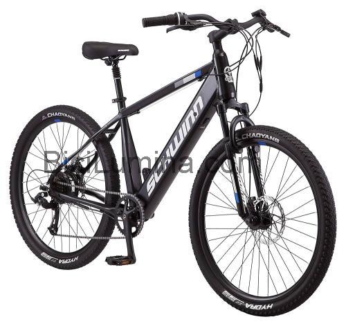 Schwinn Amalgam opinión y ficha técnica